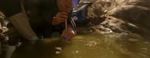 Bear Grylls drinking water