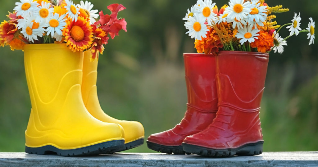 https://www.shutterstock.com/image-photo/yellow-red-rubber-boots-flowers-garden-2360654411