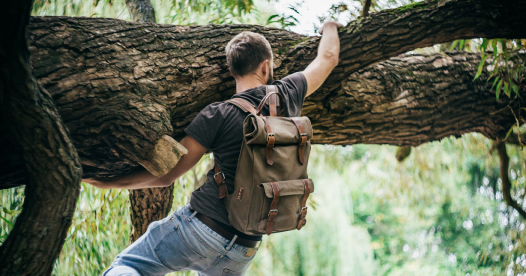 Young hipster man climbing on a tree in a park
