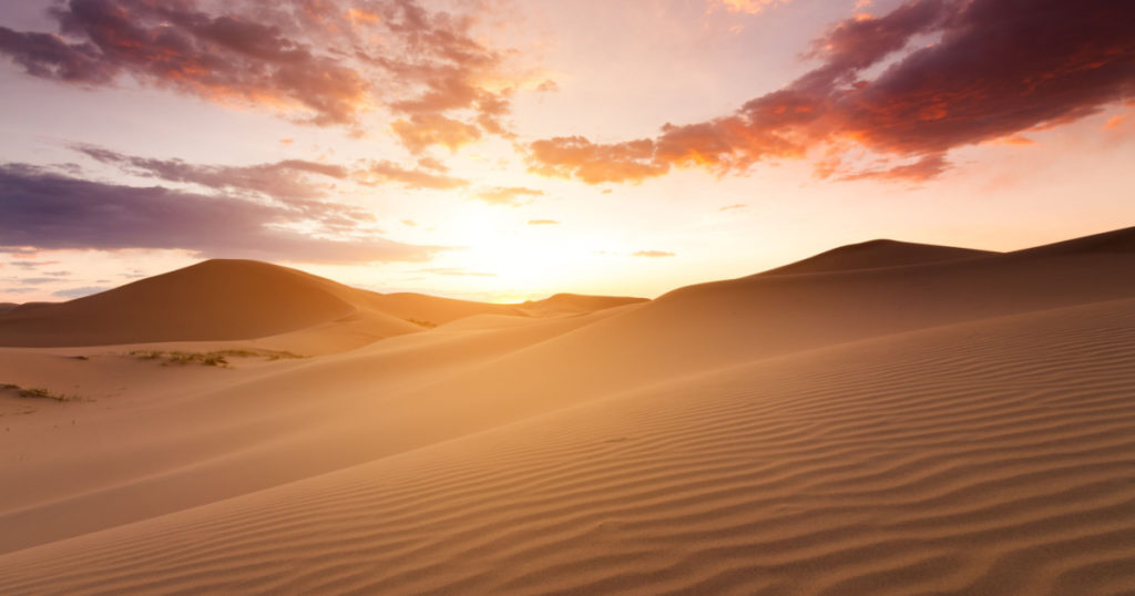 Beautiful sunset in the Sahara desert. Sand dunes at sunset
