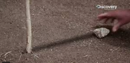 Stick and a shadow