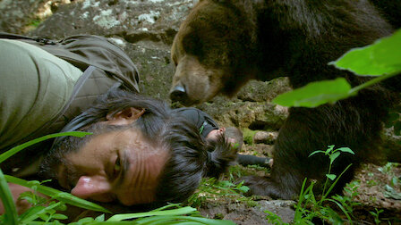 Encounters with a Bear