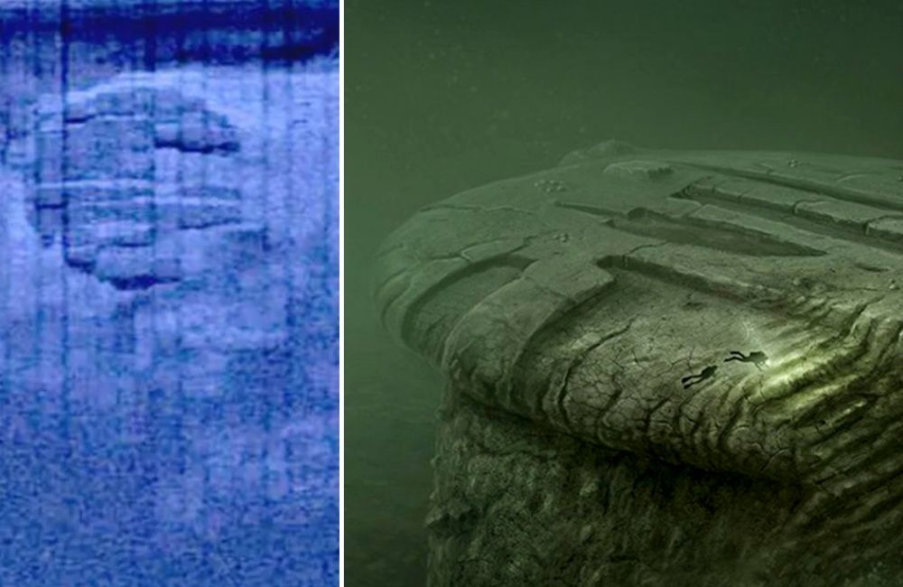 Swedish Scientists Reveal Findings of Deep-Sea 'Alien' Exploration
