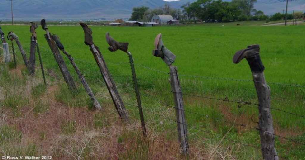 A fence line with multiple boots