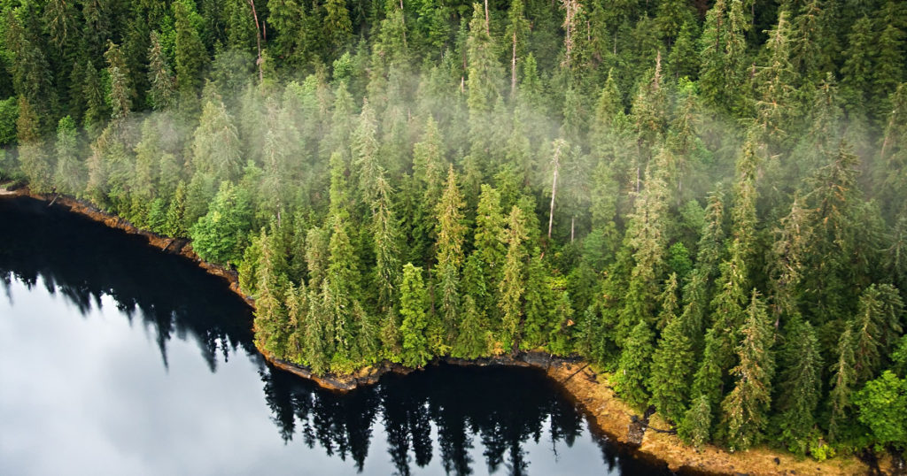 Aerial view of the mist hanging in the Tongass temperate rain forest, Misty Fjords National Monument, Alaska
