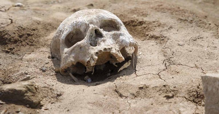 Disturbing Aerial View Reveals Dead Bodies in Cages at Ranch With Very Important Purpose - Featured image