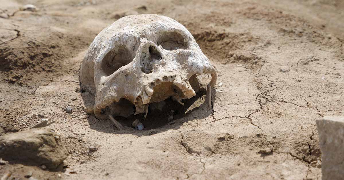 Disturbing Aerial View Reveals Dead Bodies in Cages at Ranch With Very Important Purpose