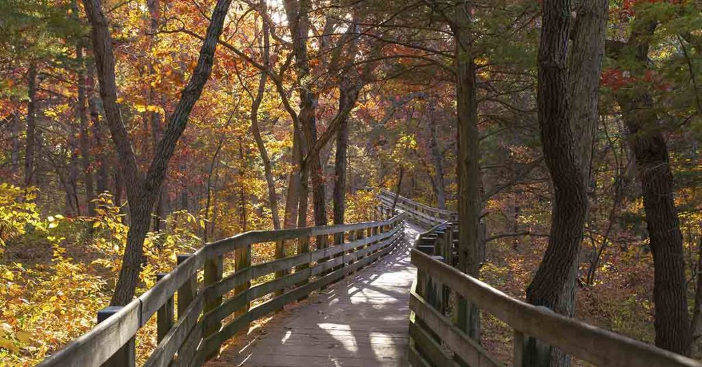 Man Finds Massive 4.87-carat Diamond in State Park - Featured image