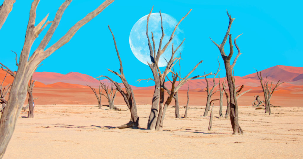 Dead trees in Dead Vlei with full moon - Sossusvlei, Namib desert, "Elements of this image furnished by NASA
