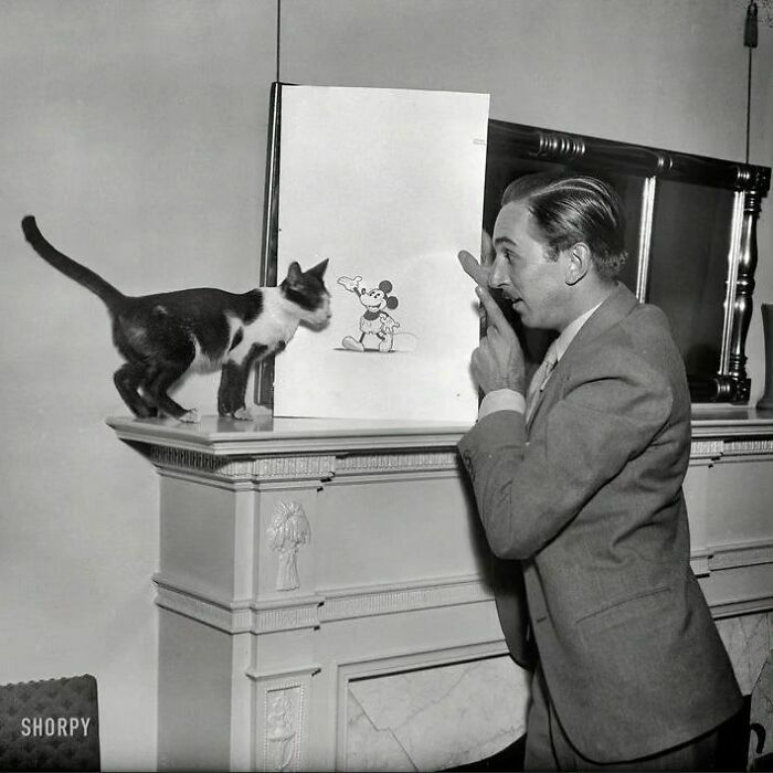 In a whimsical and surreal moment frozen in time, a photograph from 1931 captures Walt Disney animatedly explaining the enchanting world of Mickey Mouse to an attentive cat
