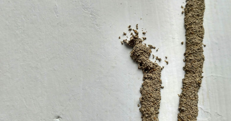 Woman Sees ‘Sticks’ On Her Ceiling and is Shocked When She Finds Out What They Really Are - Featured image