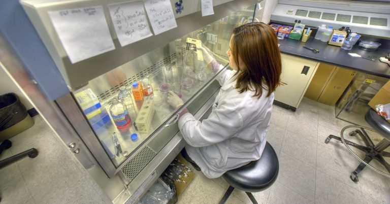 Strange ‘Obelisks’ Discovered in Humans. What Are They? - Featured image