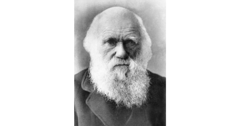 Charles Darwin (1809-1882), circa 1870s-1980s.
