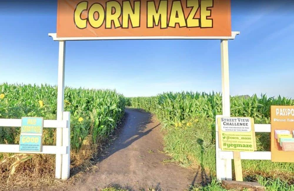 The Edmonton Corn Maze—a challenging maze captured by Google Street View.