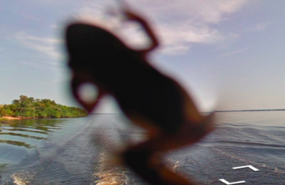 Looks like a frog splattered onto the Google Street View camera, obscuring the image. Poor frog, poor camera.