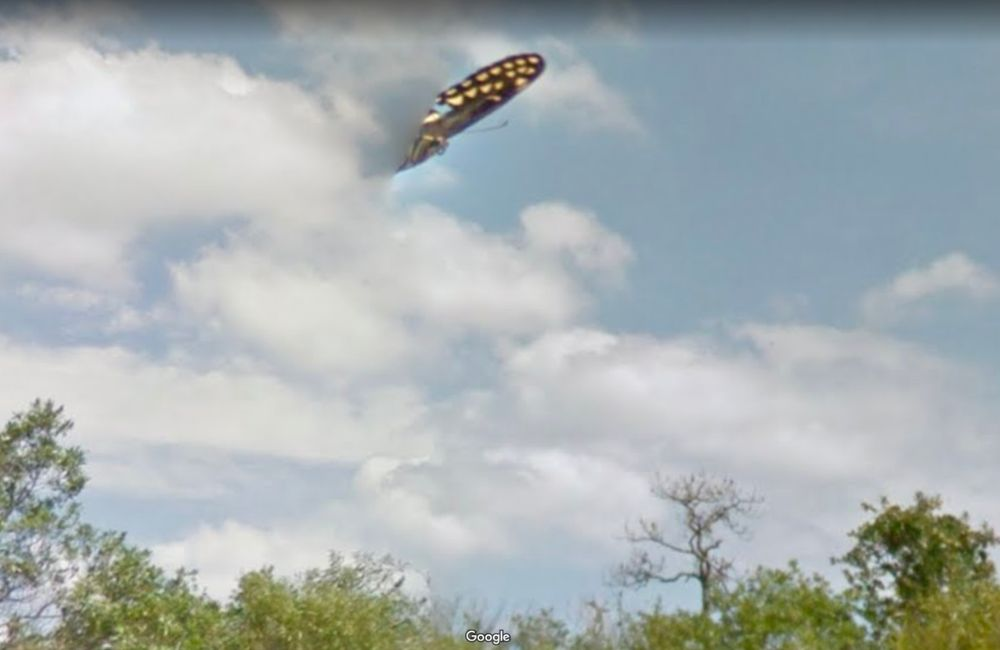 This mysterious image from Florida in 2018 sparked UFO rumors. It's probably just a butterfly, but who knows? The Bermuda Triangle's known for strange occurrences.