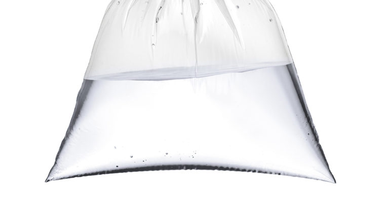 People Are Hanging Bags of Water Above Their Doors to Deter Bugs. Does it Work? - Featured image