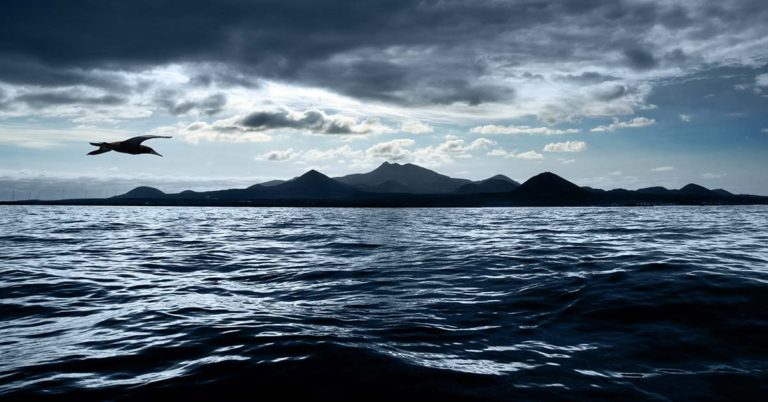 The ‘World’s Most Infected Island’ Is Loaded With Human Skeletons and Is Only a Mile Off The UK Coast - Featured image